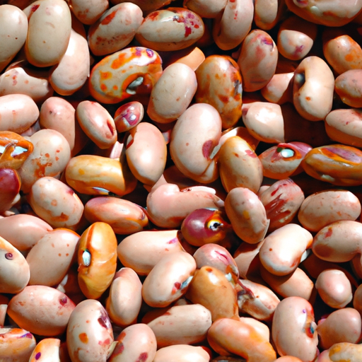 The Spiritual Meaning and Symbolism of Beans