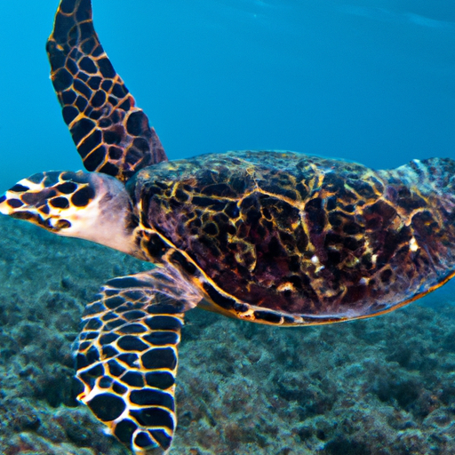 The Spiritual Meaning of a Turtle: Wisdom, Patience, Perseverance, and Longevity